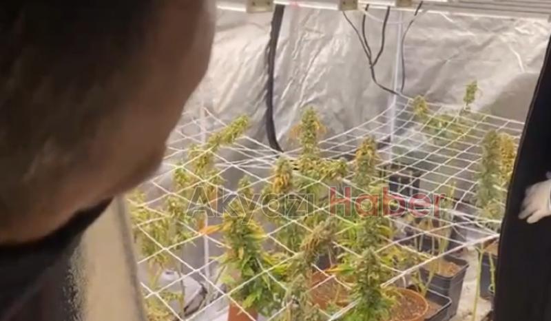 Jandarma bile şaşkına döndü