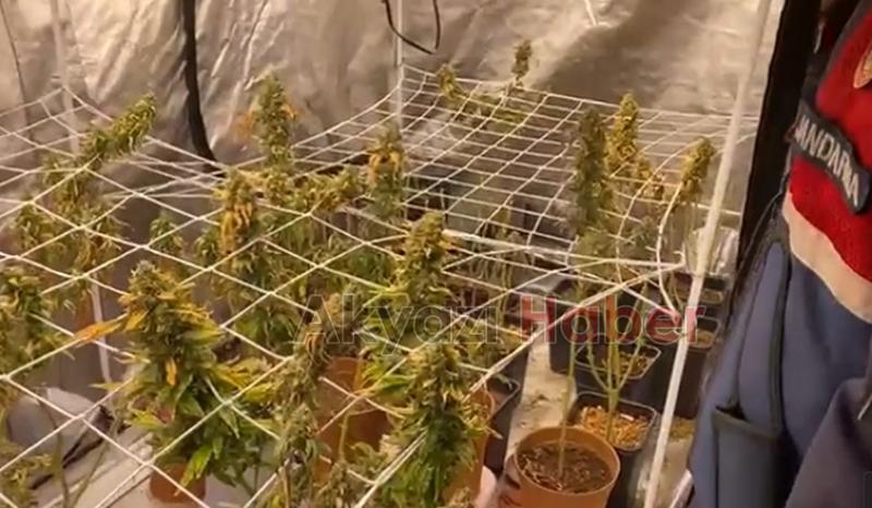 Jandarma bile şaşkına döndü