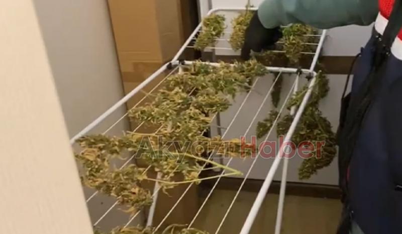 Jandarma bile şaşkına döndü