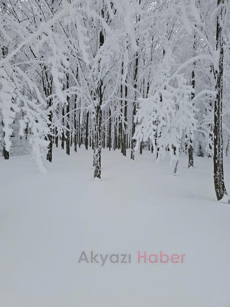 Acelle Yaylası'ndan kar fotoğrafları