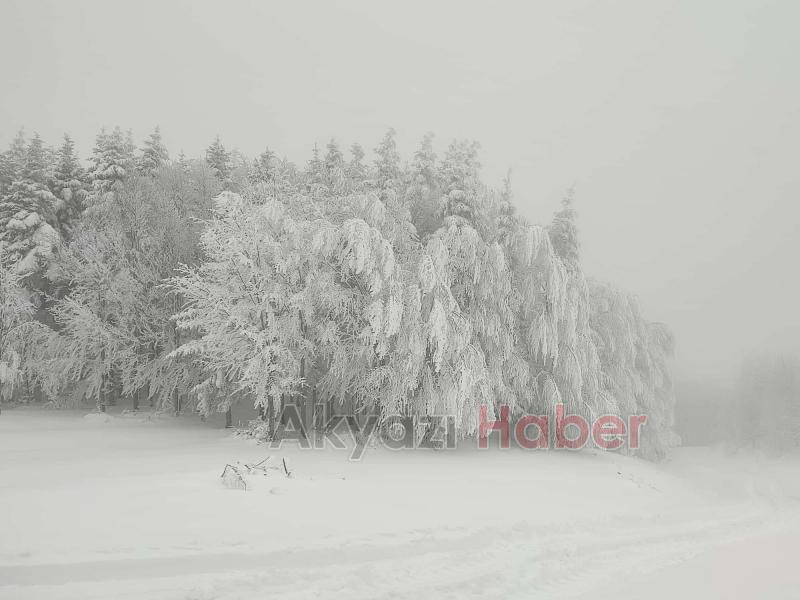 Acelle Yaylası'ndan kar fotoğrafları