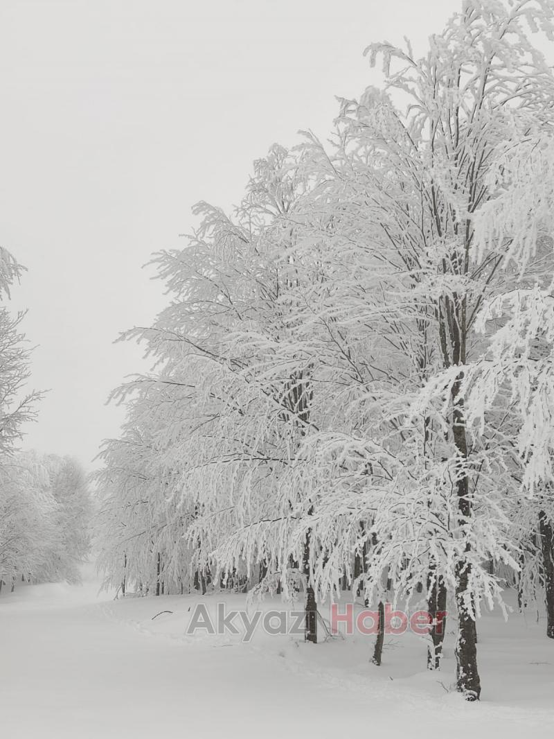 Acelle Yaylası'ndan kar fotoğrafları