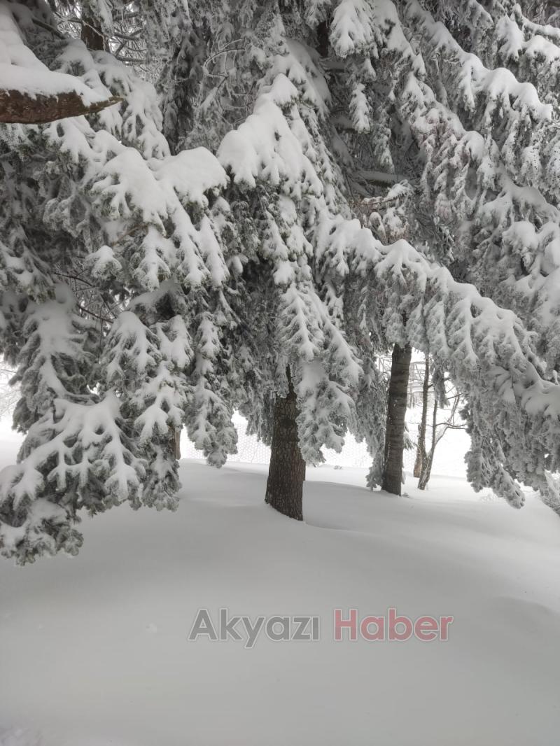 Acelle Yaylası'ndan kar fotoğrafları
