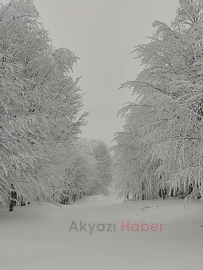 Acelle Yaylası'ndan kar fotoğrafları