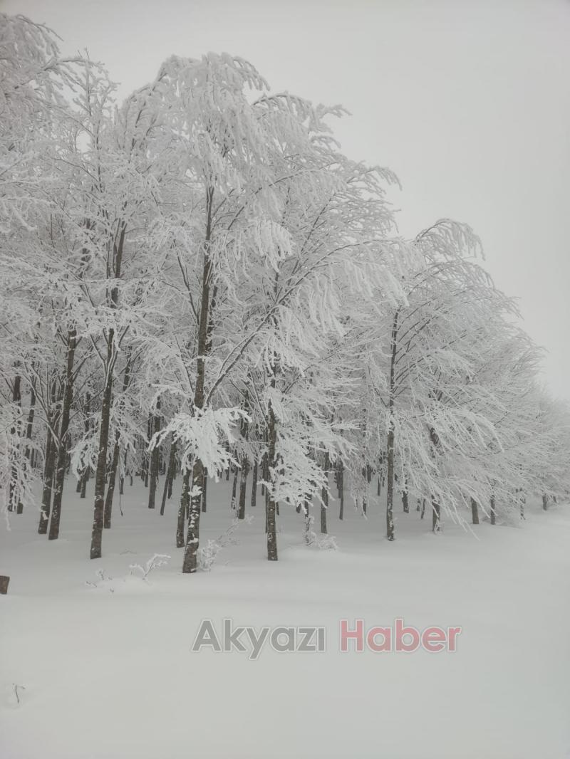 Acelle Yaylası'ndan kar fotoğrafları