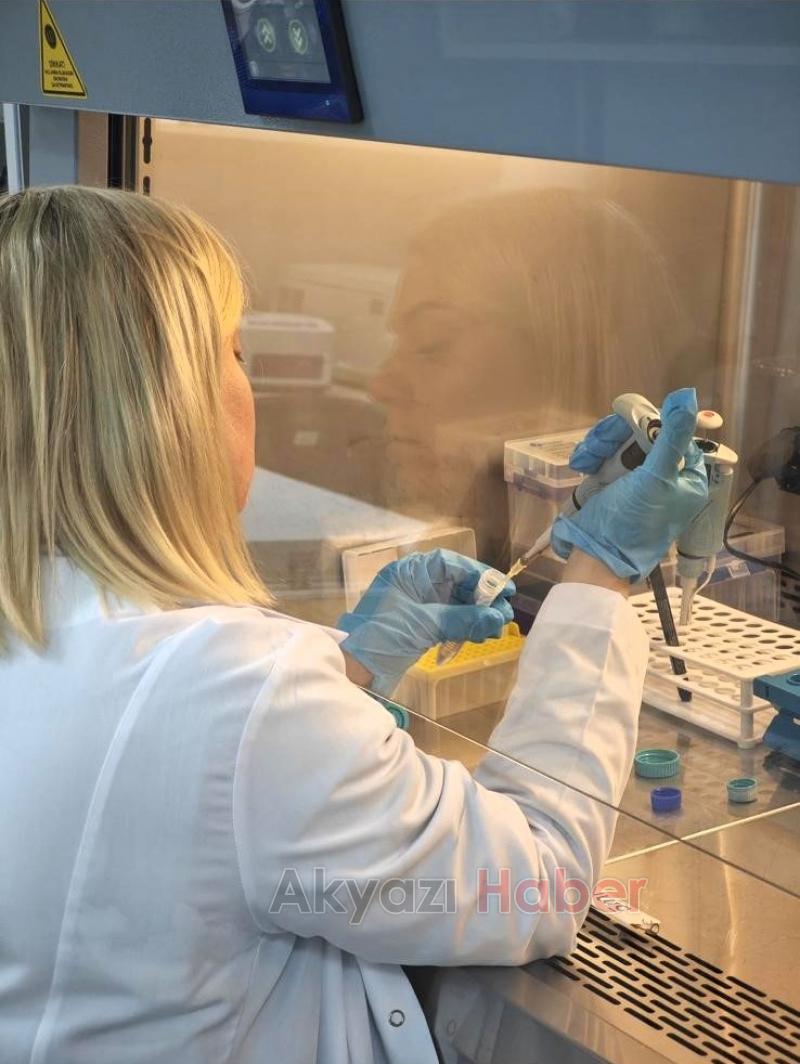 Bor tabanlı kanser tedavi projesi