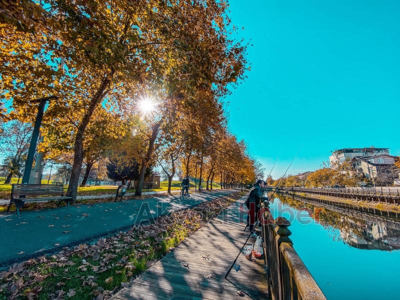 Sakarya'da Bu Şehir Hepimizin hareketi
