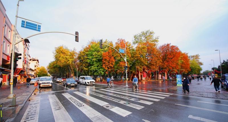 Sakarya'da Bu Şehir Hepimizin hareketi