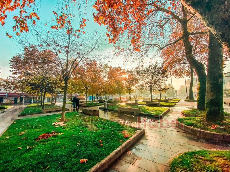 Sakarya'da Bu Şehir Hepimizin hareketi