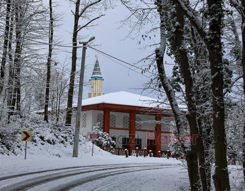 Sakarya'dan kar manzaraları