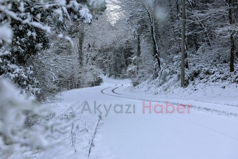 Sakarya'dan kar manzaraları