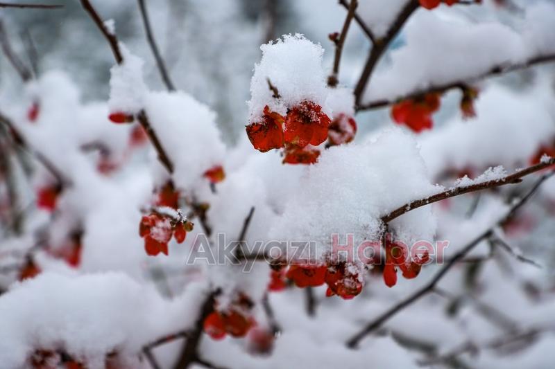 Sakarya'dan kar manzaraları