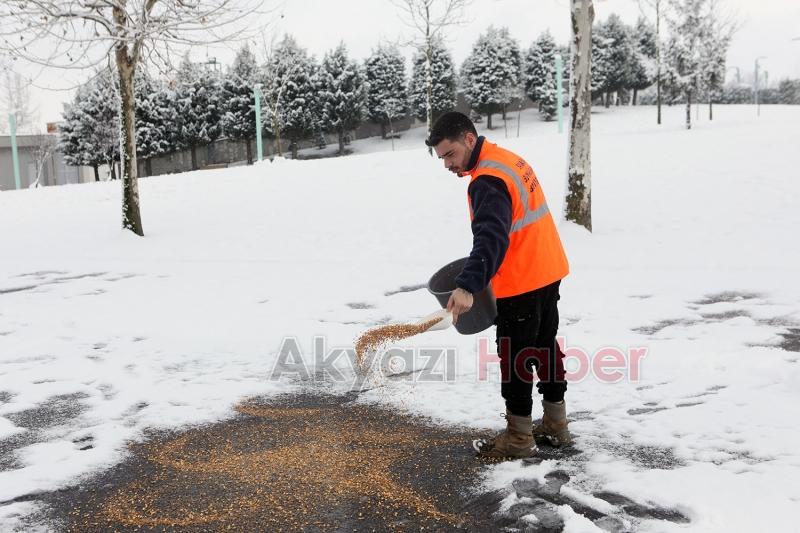 Karda sokak hayvanları unutulmadı