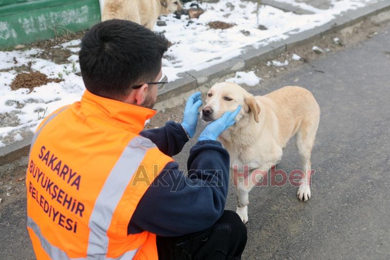 Karda sokak hayvanları unutulmadı