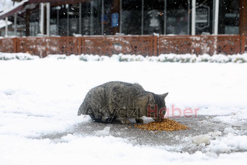 Karda sokak hayvanları unutulmadı