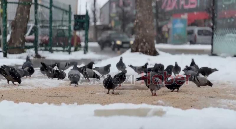 Karda sokak hayvanları unutulmadı