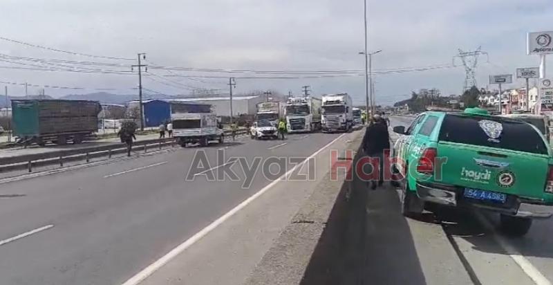 Mezbahadan kaçan boğa ortalığı karıştırdı