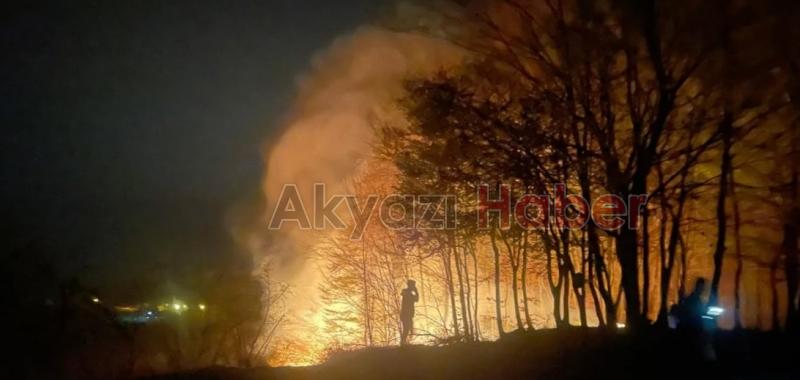 Karasu'da ki orman yangının bilançosu belli oldu
