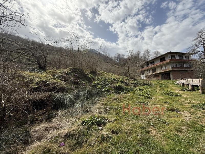 Mahalle kaymaya başladı,  vatandaşlar tedirgin