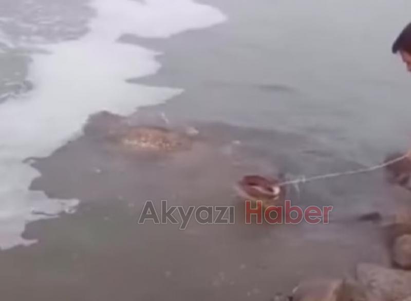 Sakarya Nehri'nde oltayla dev yayın yakaladılar