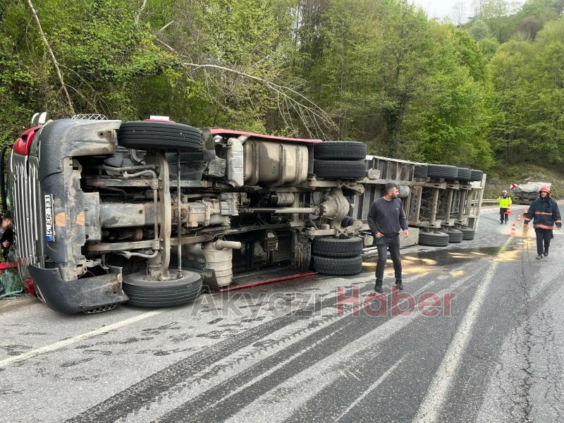 Reşadiye'de tır devrildi