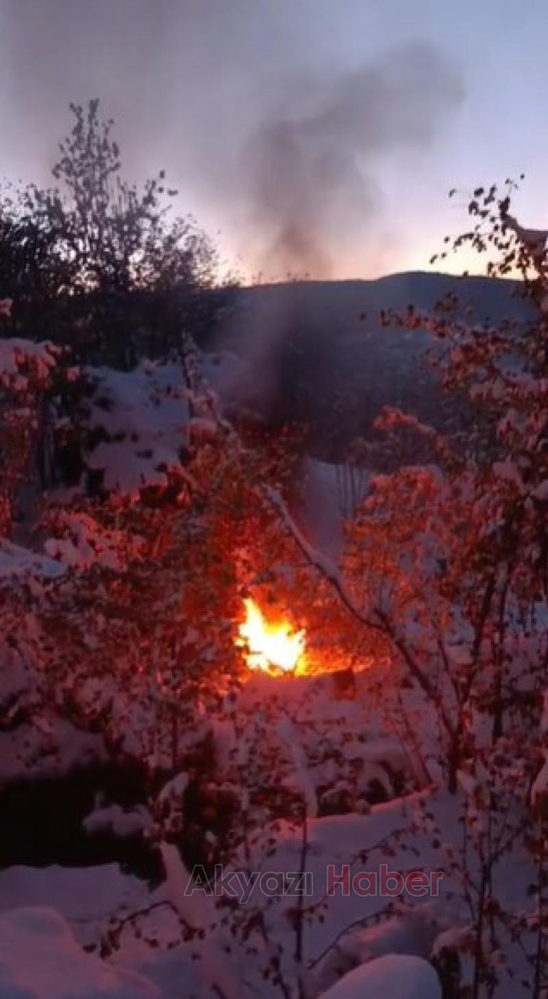 Fındık üreticinin zirai donla imtihanı
