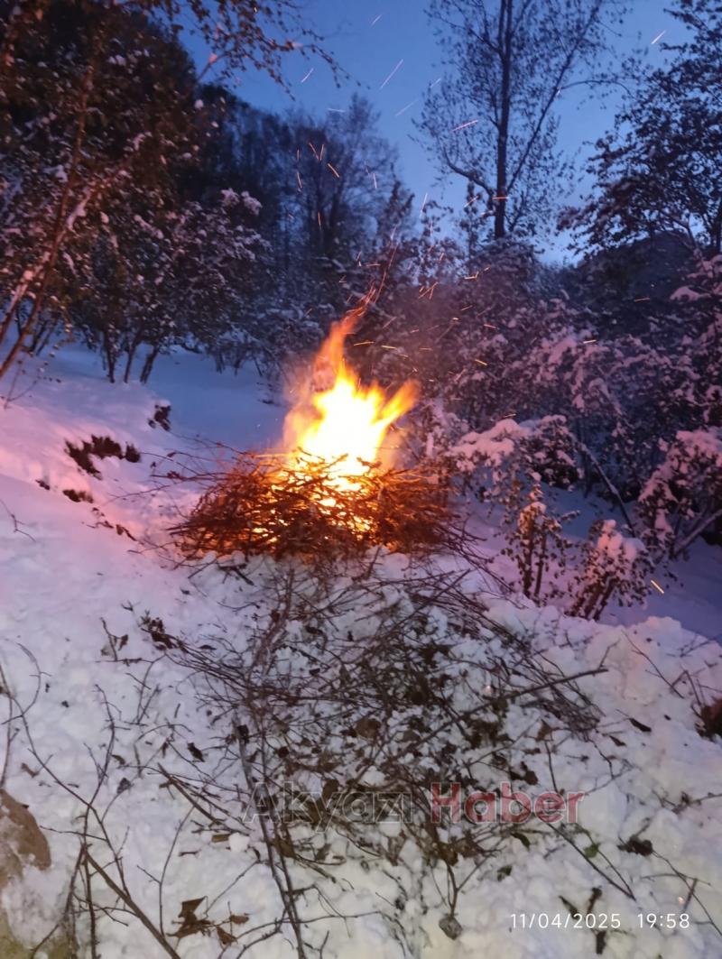 Zirai don Sakarya'da fındık ve meyve bahçelerini vurdu