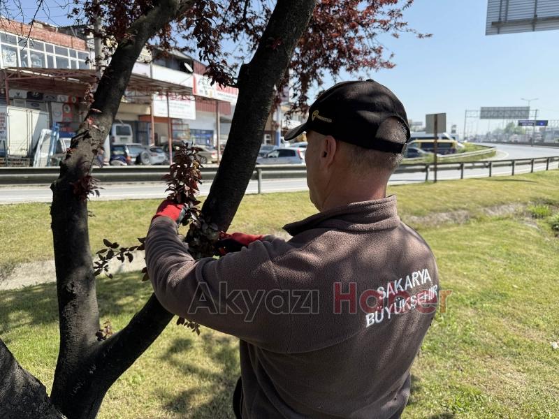 Büyükşehir Sakarya’yı yaza hazırlıyor