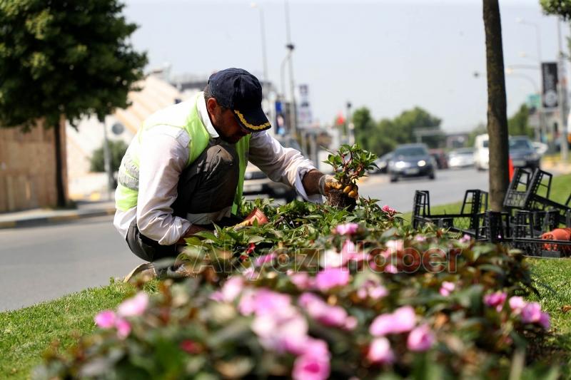 Büyükşehir Sakarya’yı yaza hazırlıyor