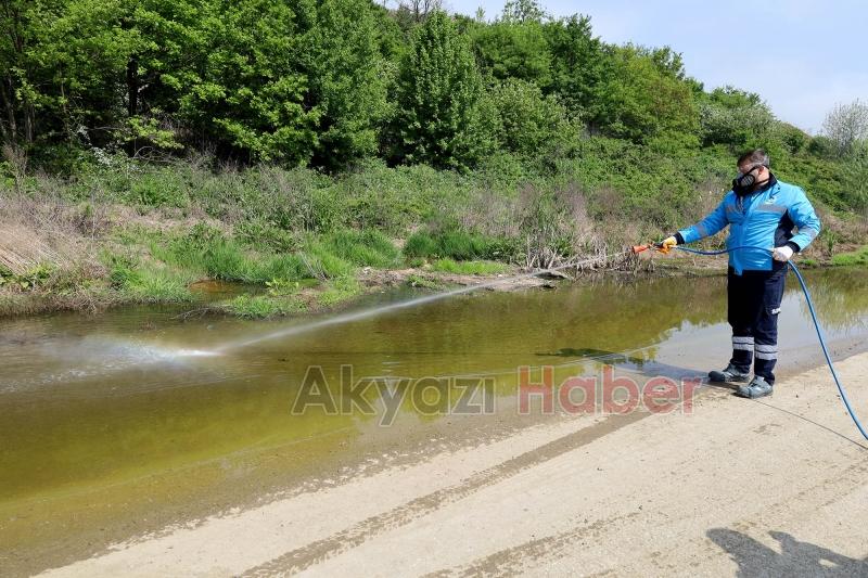 Sakarya'da haşereyle mücadele başladı