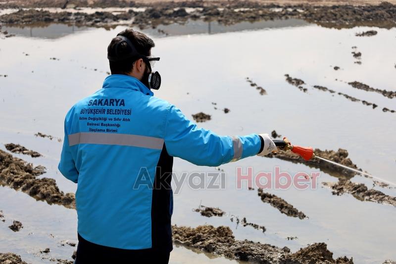 Sakarya'da haşereyle mücadele başladı