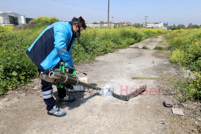 Sakarya'da haşereyle mücadele başladı