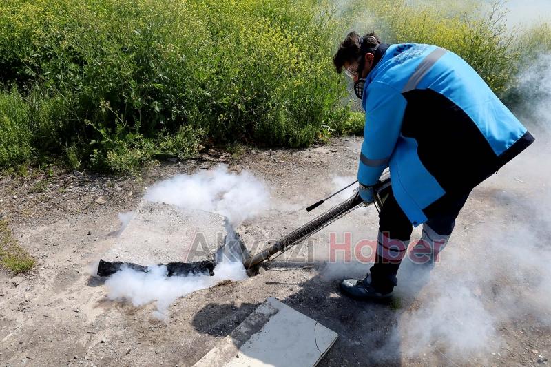 Sakarya'da haşereyle mücadele başladı