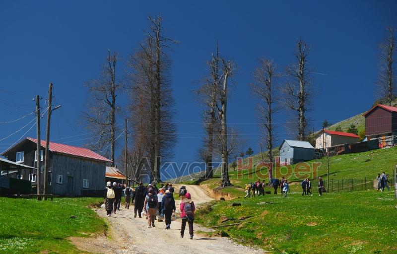 Doğa yürüyüşlerinde rota bu kez Dikmen Yaylası’ydı