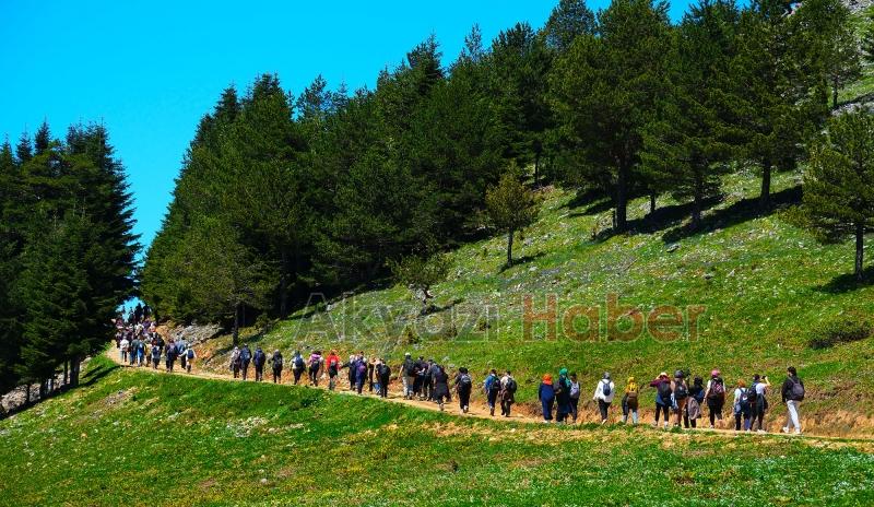 Doğa yürüyüşlerinde rota bu kez Dikmen Yaylası’ydı