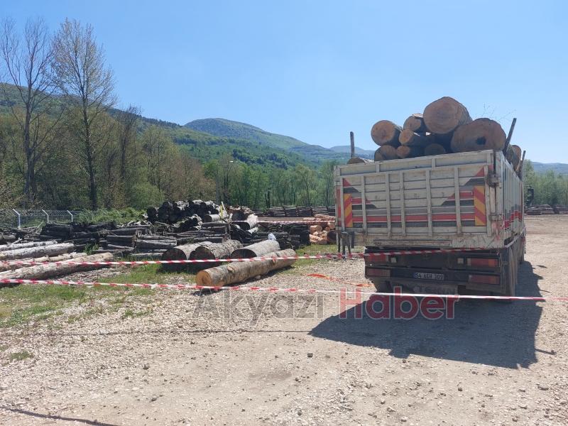 Düşen tomruğun altına kalan işçi hayatını kaybetti