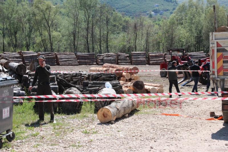 Düşen tomruğun altına kalan işçi hayatını kaybetti