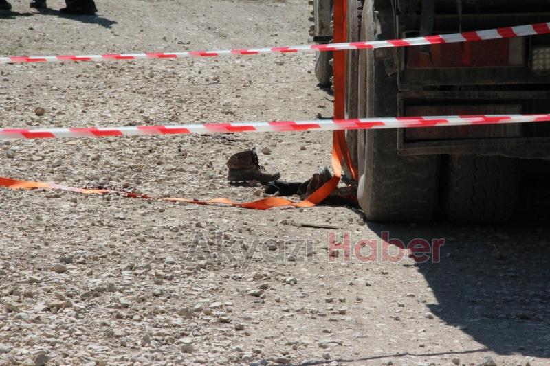 Düşen tomruğun altına kalan işçi hayatını kaybetti