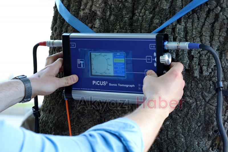 Sakarya'da ağaçların tomografisi çekiliyor