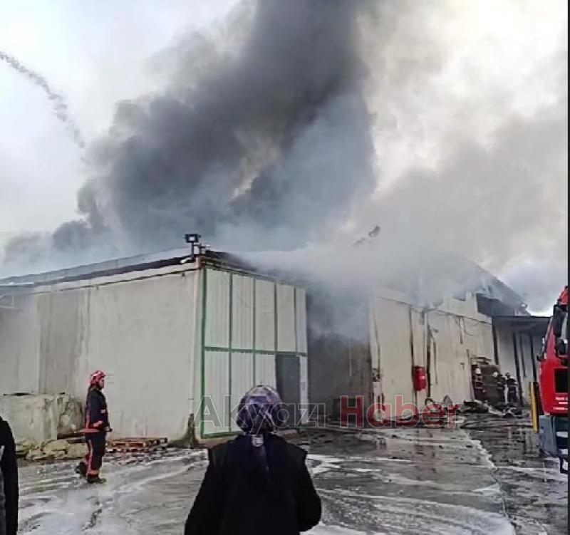 Karasu'da fındık fabrikası alev alev yandı