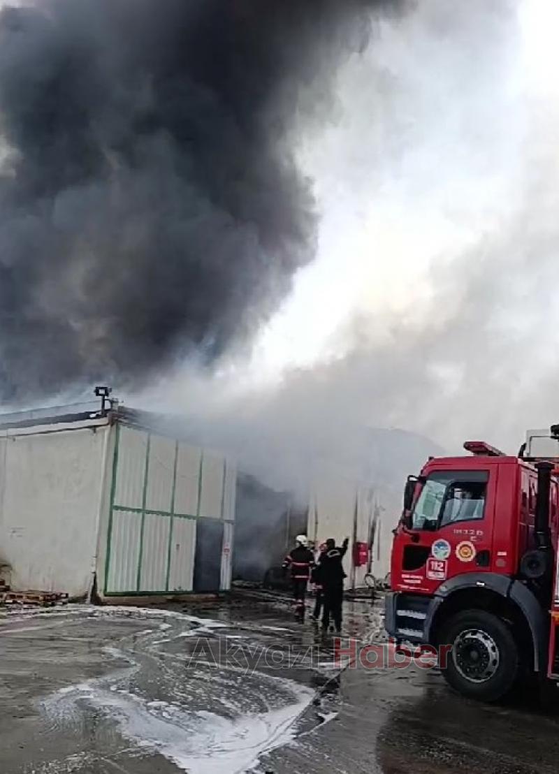 Karasu'da fındık fabrikası alev alev yandı