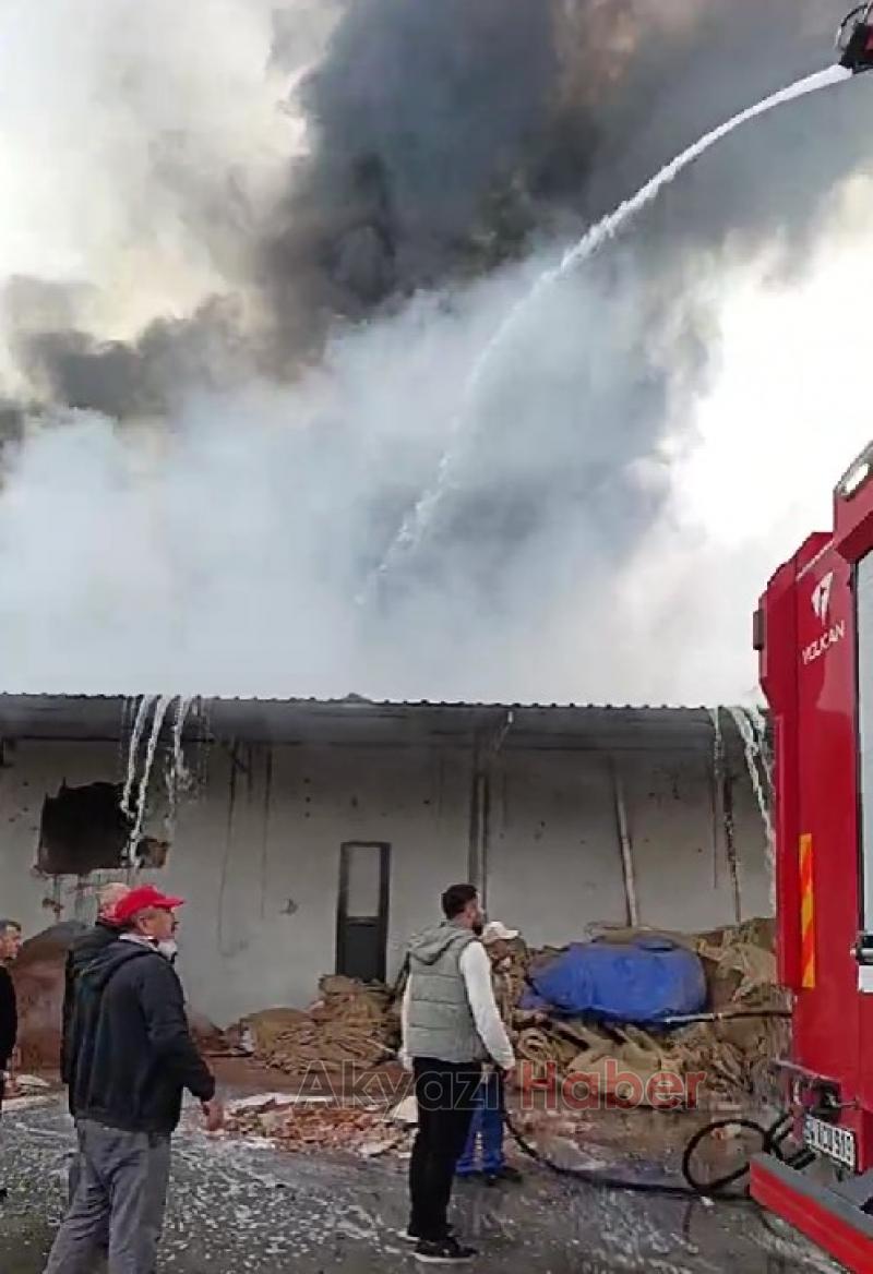 Karasu'da fındık fabrikası alev alev yandı