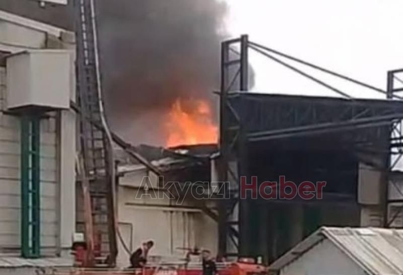 Karasu'da fındık fabrikası alev alev yandı
