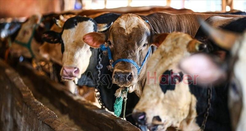 Kurban yakalama timlerine eğitim