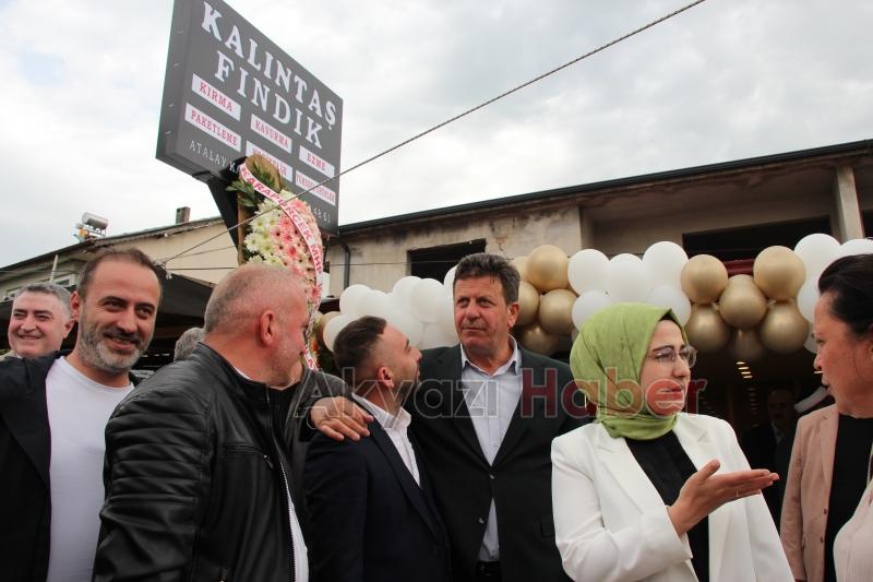 Kalıntaş Fındık'tan Yeni Bir Başlangıç: Artık Hizmetinizde!