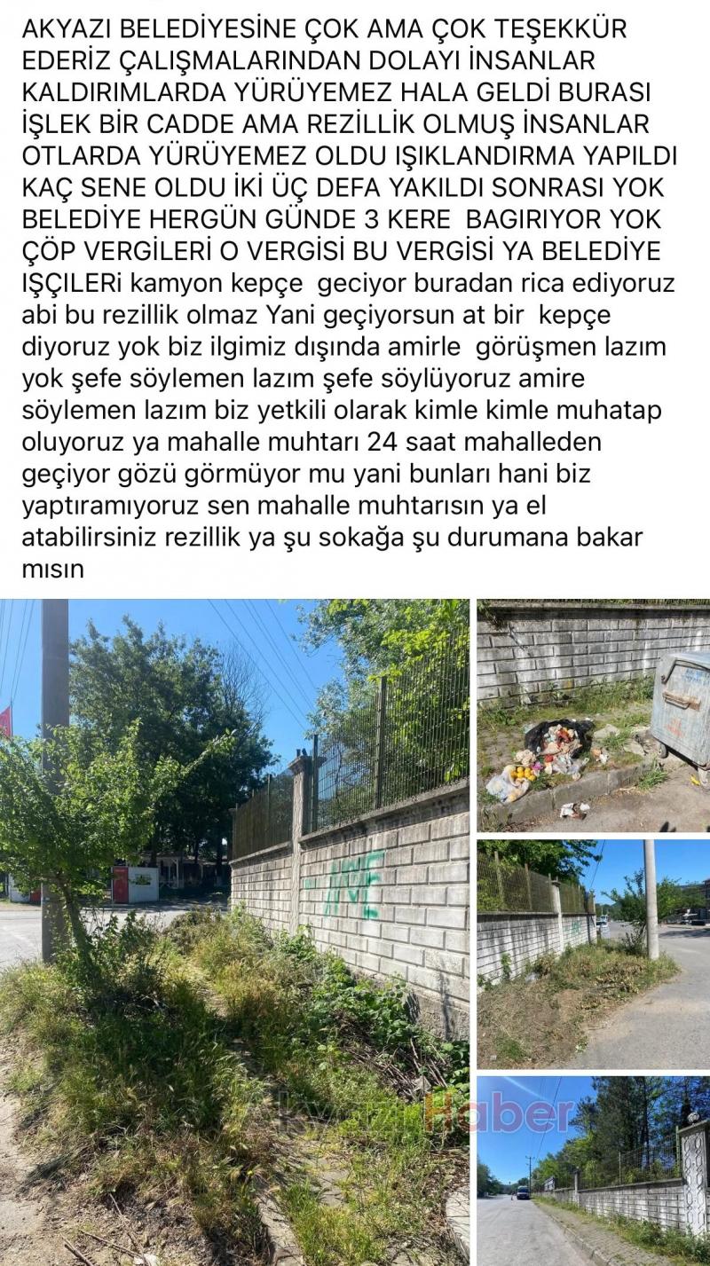 İnsanlar otlardan yürüyemez oldu diyerek tepki gösterdi