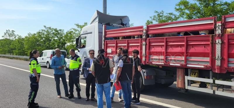 Jandarma ve tarım ekipleri canlı hayvan nakillerini denetledi