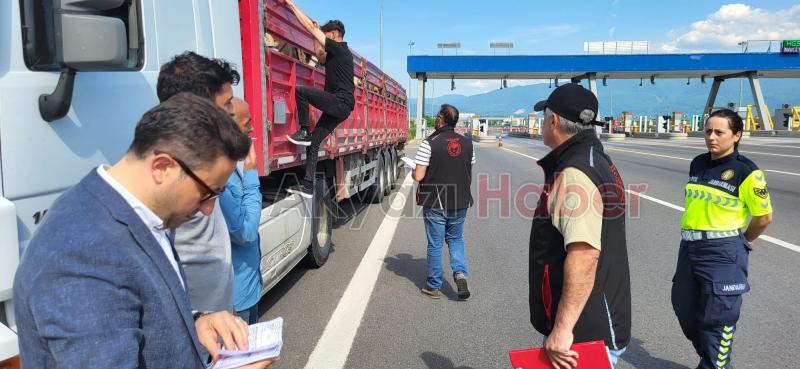 Jandarma ve tarım ekipleri canlı hayvan nakillerini denetledi