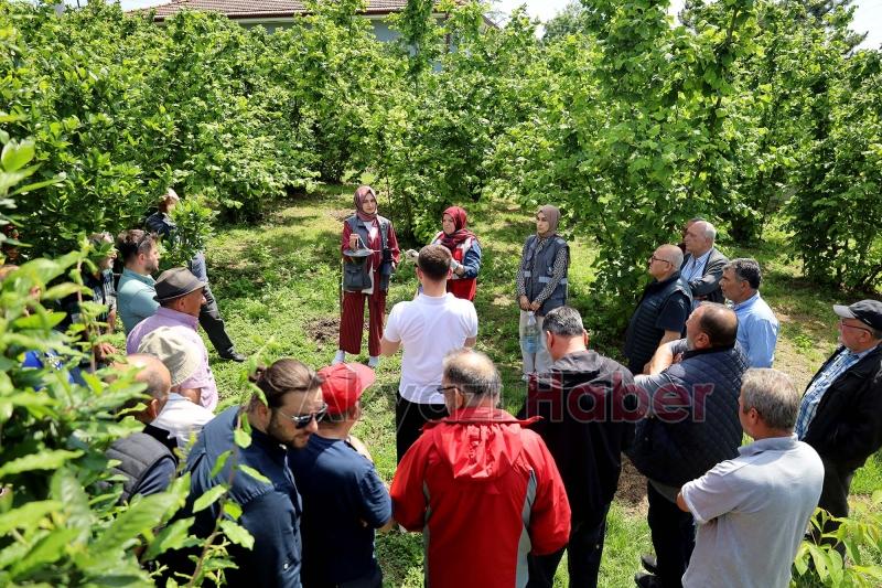 Büyükşehir ekibi sahada çiftçilere feromon tuzağı ulaştırıyor