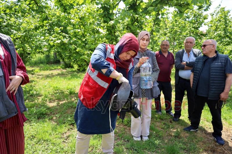 Büyükşehir ekibi sahada çiftçilere feromon tuzağı ulaştırıyor